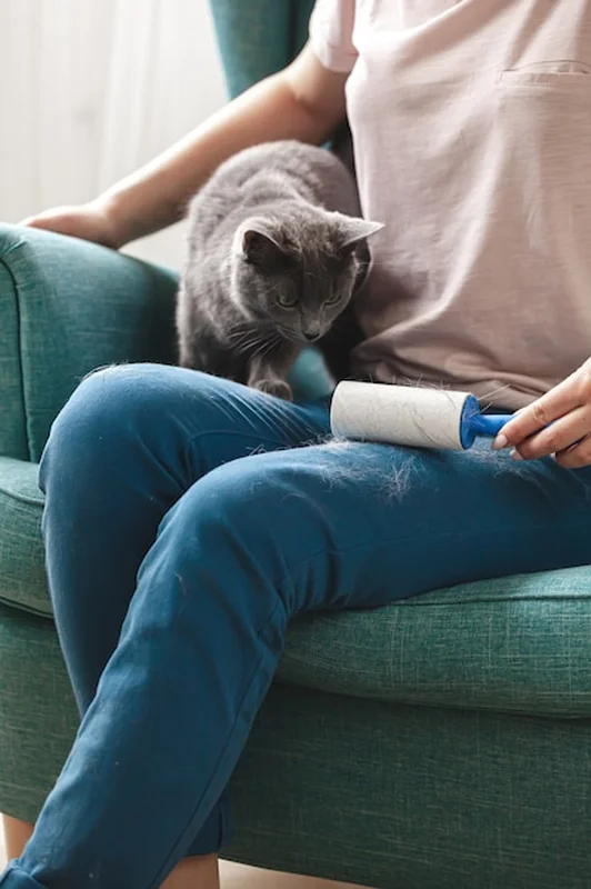 Kobieta czyści ubrania lepkim wałkiem z włosów kotów