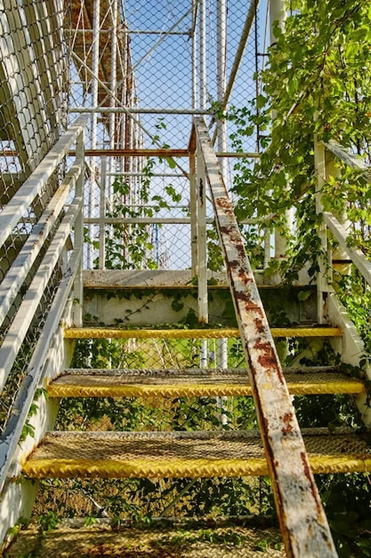 Zardzewiałe metalowe schody z farbą i roślinnością w opuszczonym zakładzie