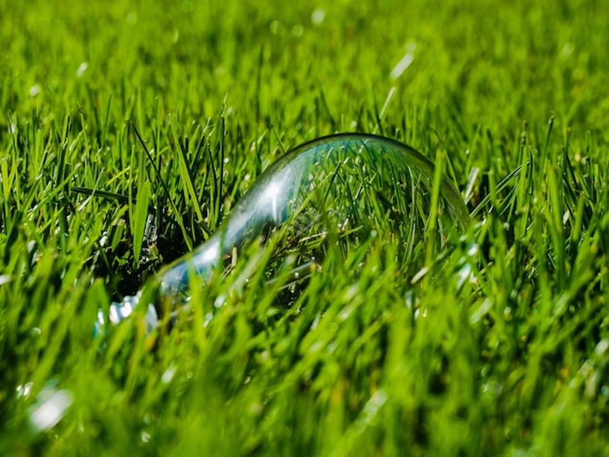 Kropla wody na trawie