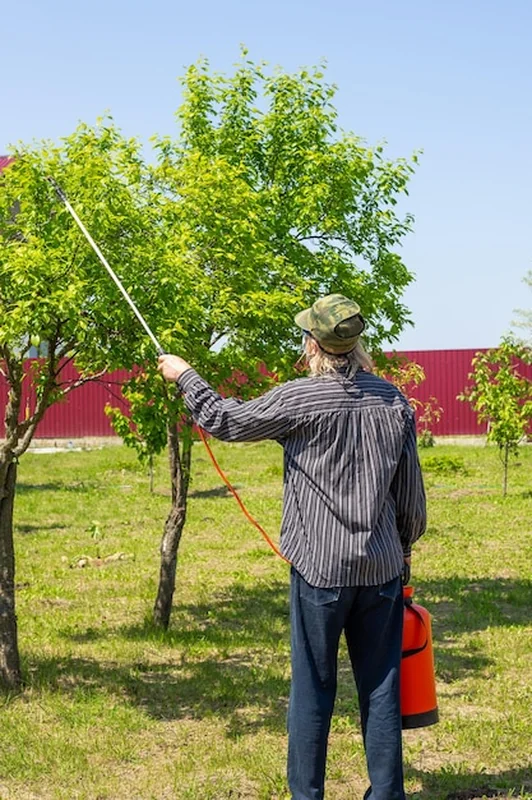 Ogrodnik leczy drzewa owocowe butelką z rozpylaczem