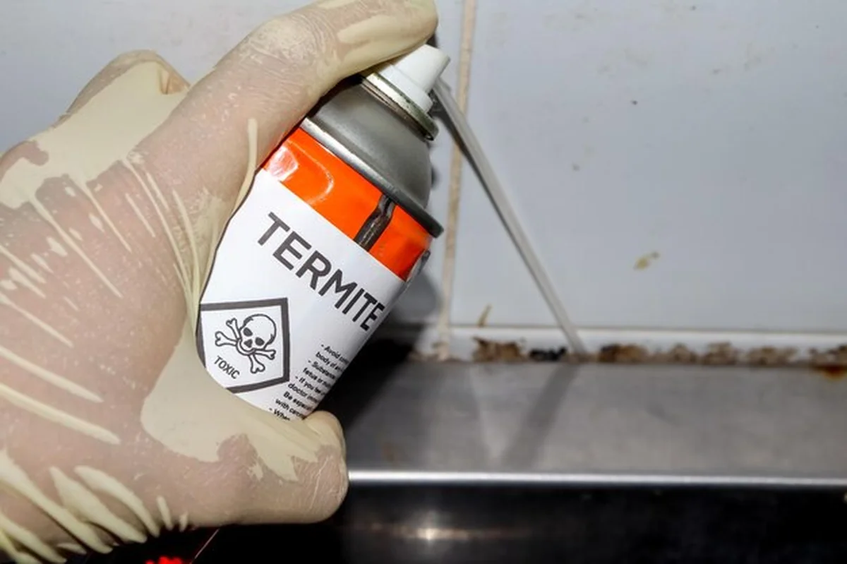 Spray chemiczny do zabijania termitów w dziurach w ścianie